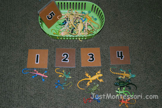 Lizard Counting 1-10