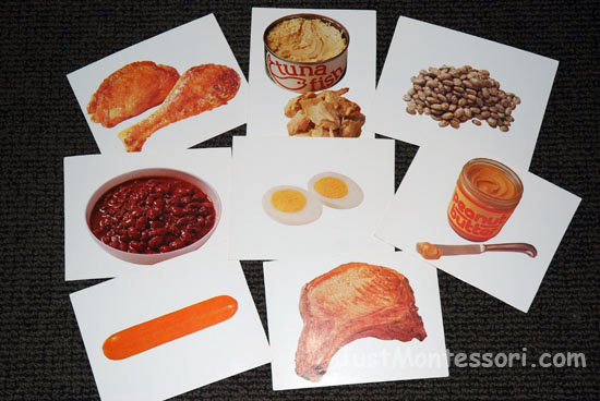Protein Food Cards