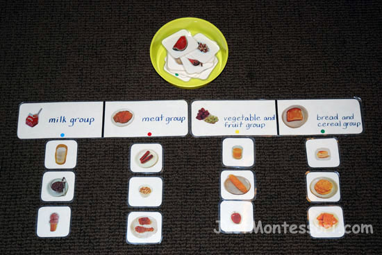 Food Group Sorting Cards