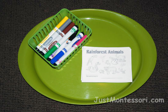 Rain Forest Animals Booklet
