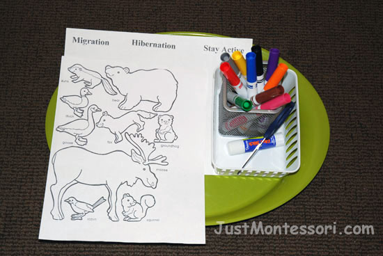 Color and Sort Hibernate, Migrate, or Stay Active Animals