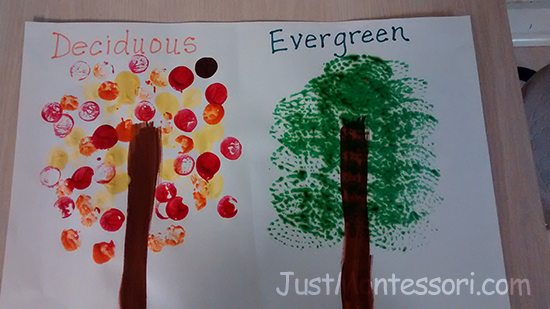 Tree Types Art