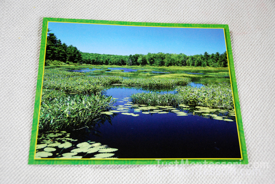 Pond Picture