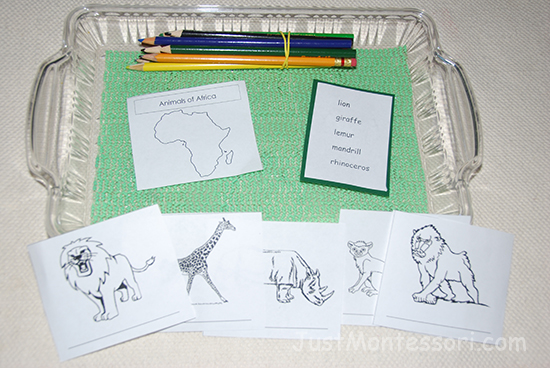 Animals of Africa Booklets