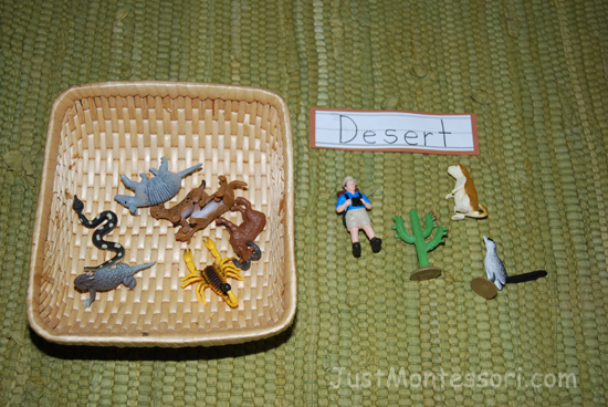 Desert Animals