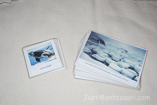 Antarctica Card Set