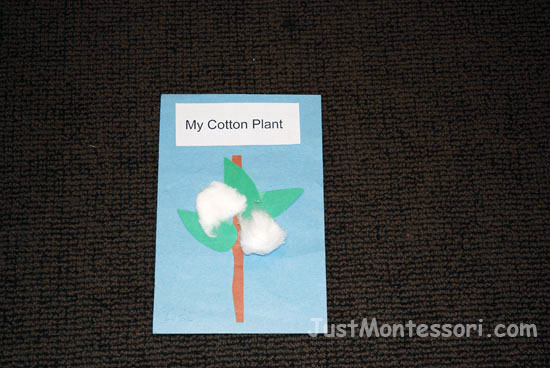 Cotton Art Activity