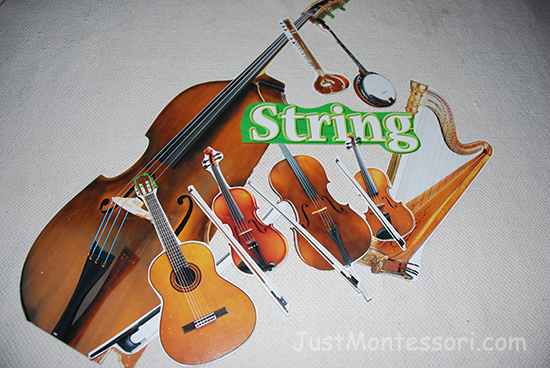 String Instruments