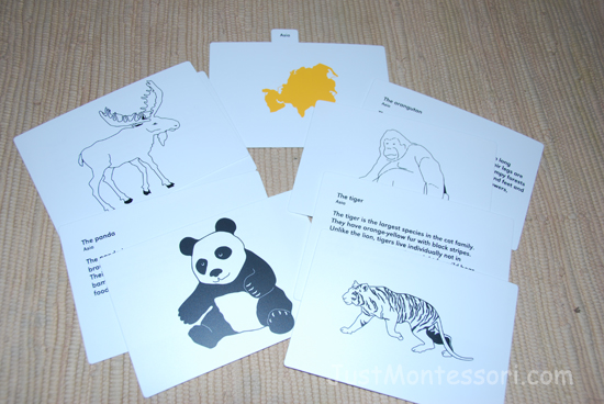 Animals of Asia (Montessori Catalogs)