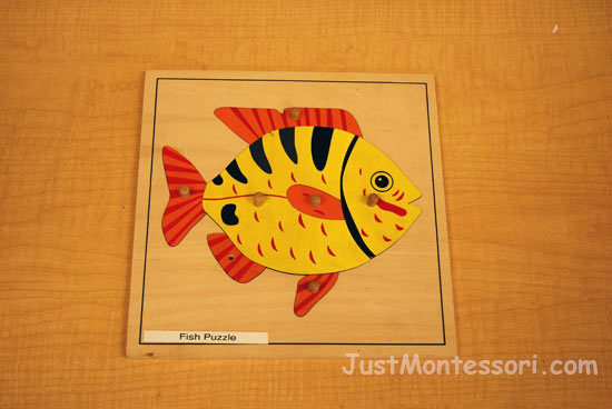 Fish Puzzle