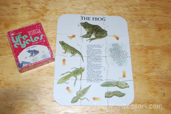 Frog Puzzle