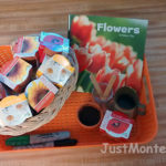 Flower Pots and Planting