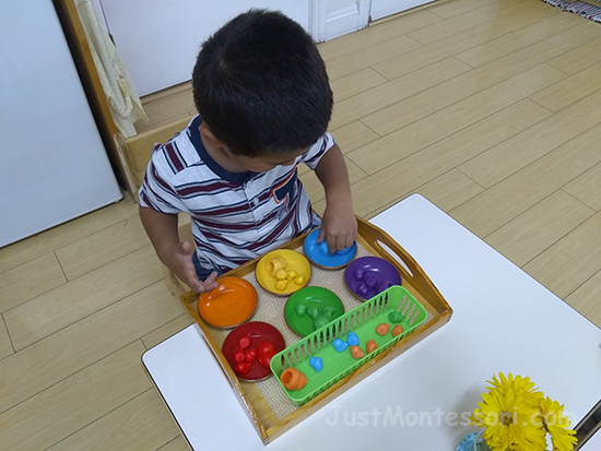 Bird Color Sorting