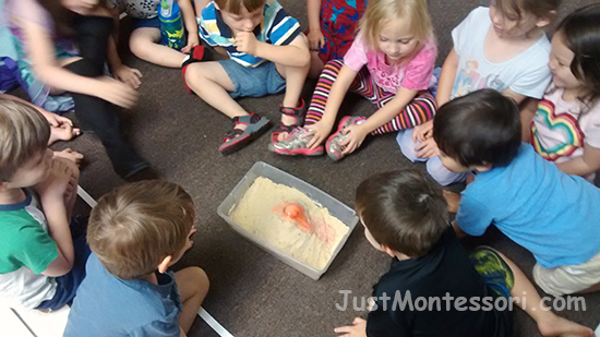 Volcano in a tub of sand.