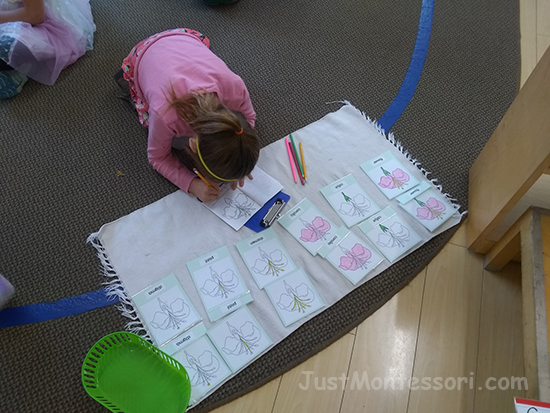 An older child is making a parts of the flower booklet, writing out each flower part that is highlighted.