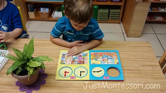 Placing books on the shelves throughout the classroom, allows for book choices to be made other than just from the library area. Using a book stand makes for a nice presentation on the shelf. Books placed individually on a shelf should pertain to that type of shelf. A book on flowers, for example would be found on the Botany shelf. 