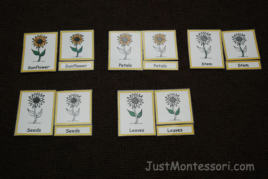 Three-Part Matching Cards (JustMontessori)