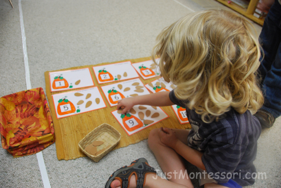 1-10 Pumpkin Seed Counting