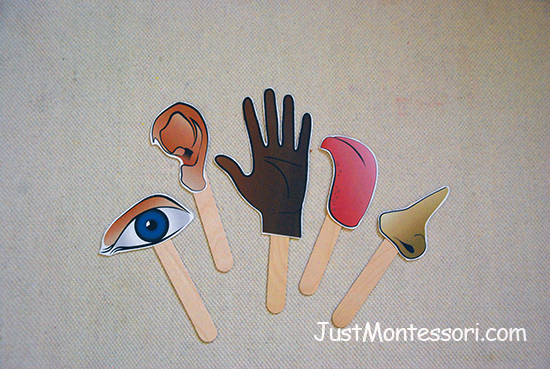 Five Senses Puppets