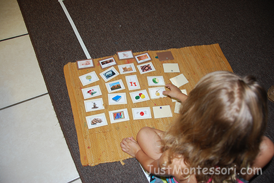 Five Senses Sorting