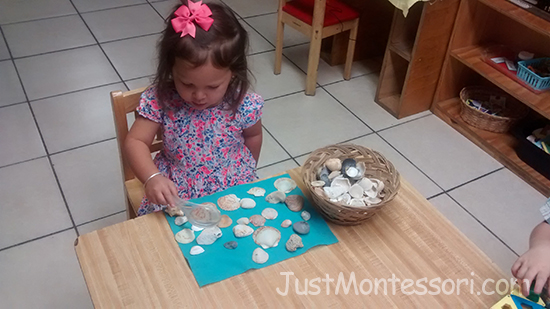 Sea Shell Nature Basket