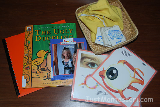 Sight Lesson (Ugly Duckling Braille Book)