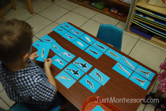 Pre-Language Activities – Montessori Curriculum – Cultural & Language