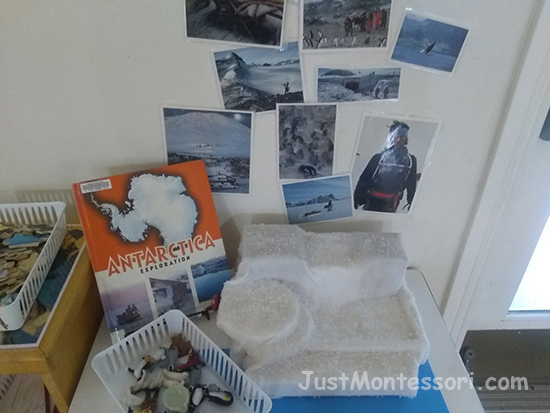 This is the continent table featuring Antarctica. I glued white felt and fake snow onto styrofoam pieces and boxes for the iceberg and snow covered 'land area' since the 'wax iceberg' above was no longer usable. 