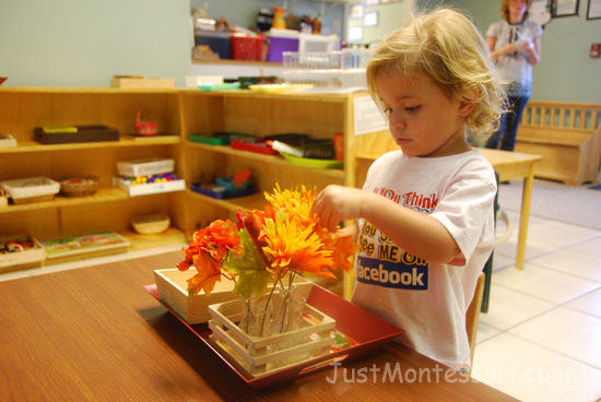 Fall Flower / Leaf Arranging