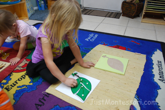 Leaf Puzzle