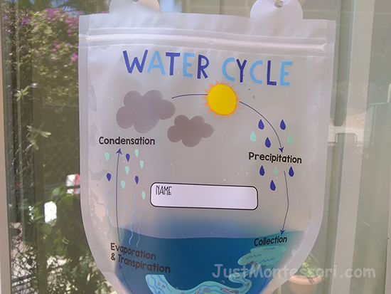 I found this water cycle bag at Target I believe.  You add water to it sand watch as the condensation build on the inside. Great find! 