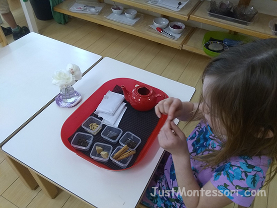 Enjoying Tea and Exploring Ingredients