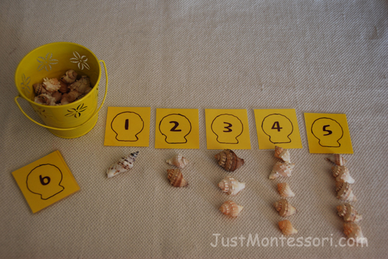 Shells 1-10 Counting