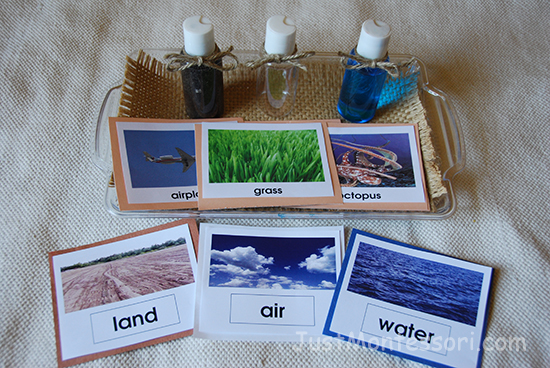 Land-Air-Water Sorting Cards