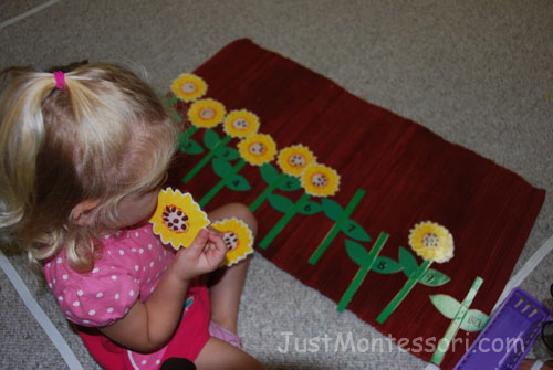 Seed Counting 1-10