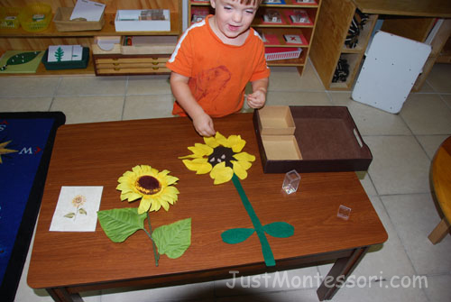 Build a Sunflower with Felt