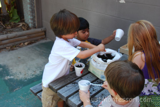 Planting apple seeds after the tasting is a enjoyable for the children. Make or buy little apple shapes to put each child's name on the cups.