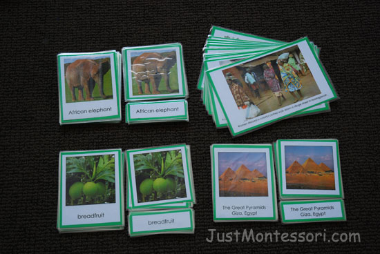 Africa places, food, and plants. Have ready to put on the shelves, checking to be sure you are not missing any cards. 