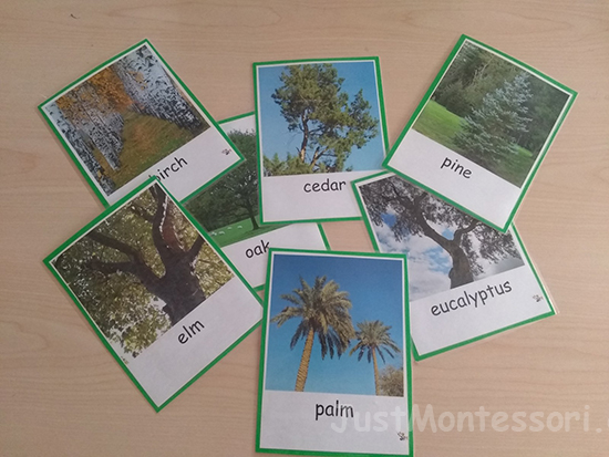 Many Pretty Trees - Song Card Set