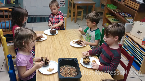 Making Pinecone Bird Feeders