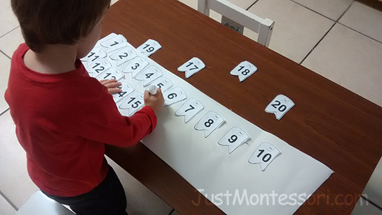 1-20 Teeth Sequence