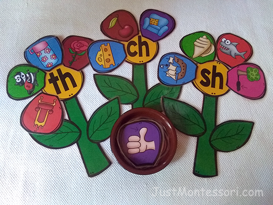 Digraph Flowers