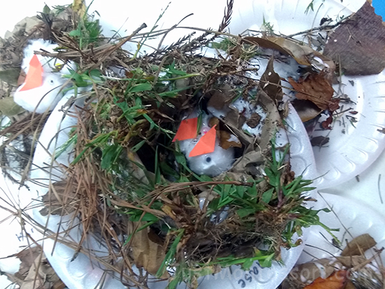 Bird Nest Art  (Outdoor Gathered Materials)