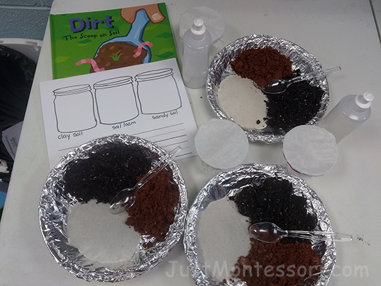 Soil Experiment